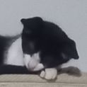 Photo of Lili