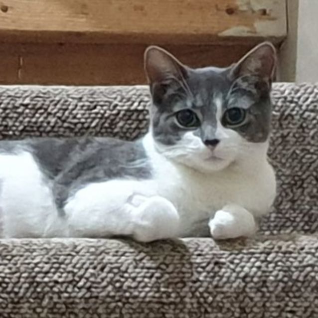 Photo of Emma
