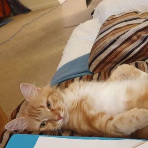No photo for Winnie