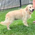 Photo of Abbie