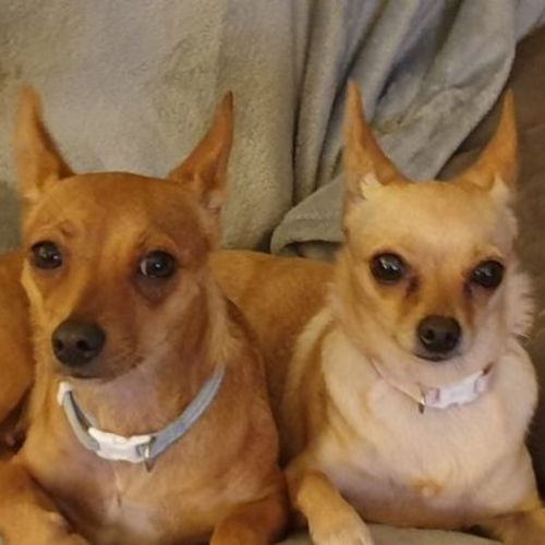 Susie and Millie