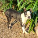 Photo of Max