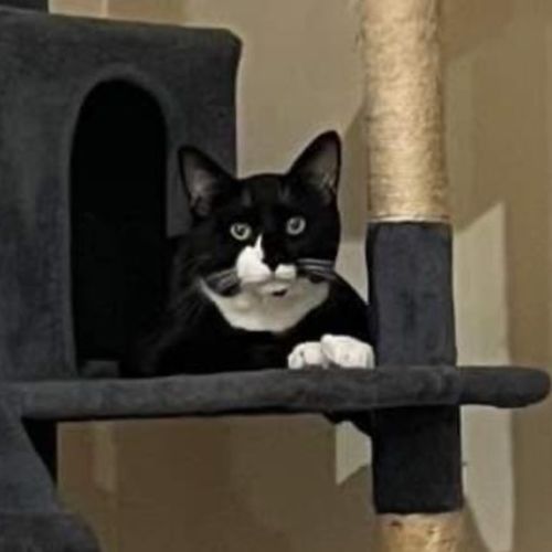 No photo for Buddy