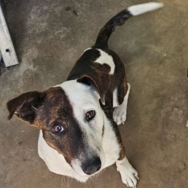 Photo of Penny