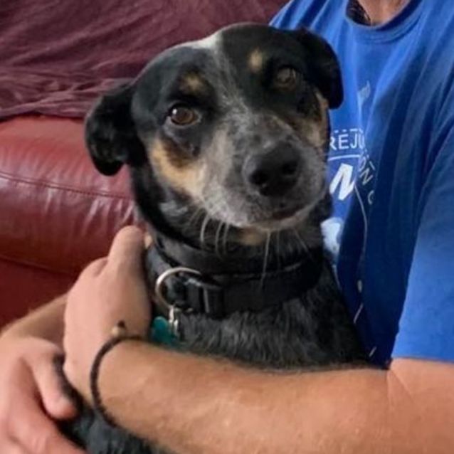 Photo of Tilly