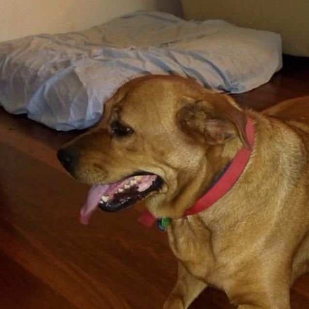 Photo of Freya Dl1428