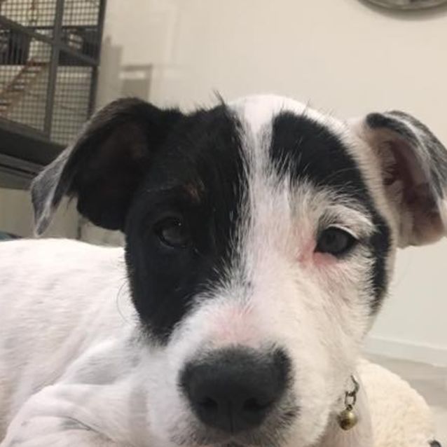 Photo of Marnie