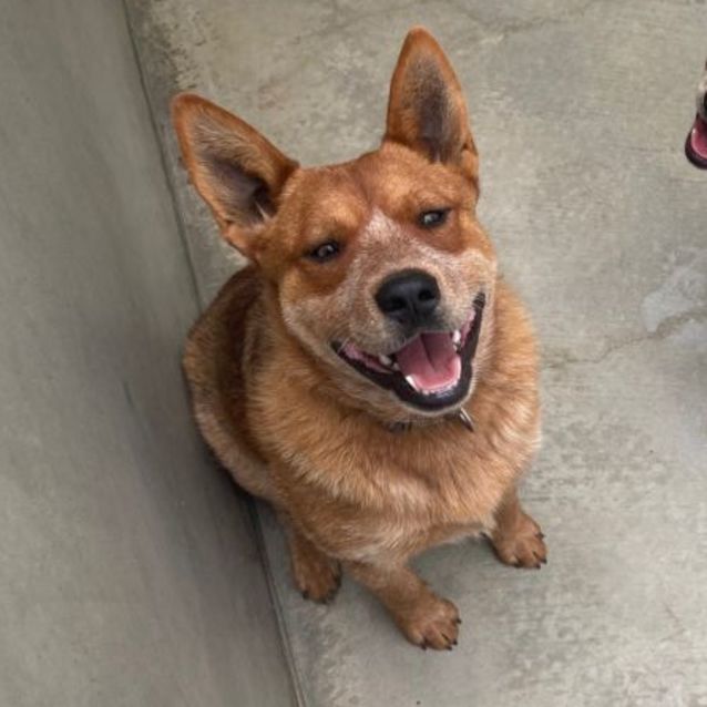 Photo of Bentley 