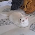 Photo of Nudge