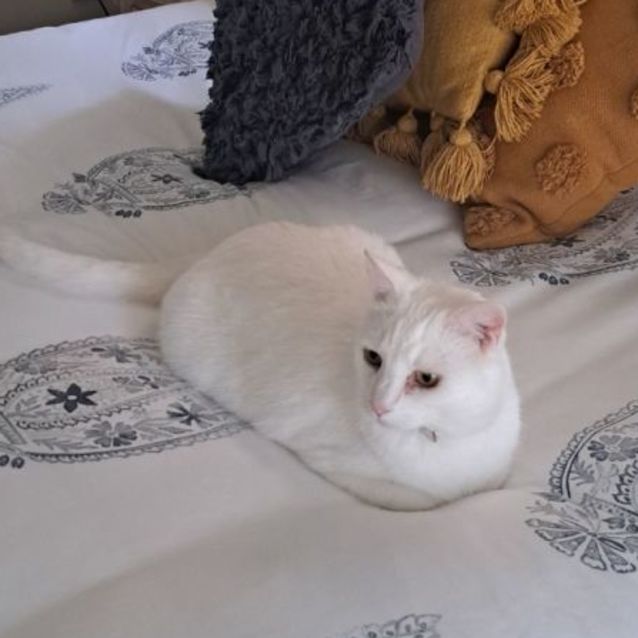 Photo of Nudge