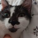 Photo of Cloudy