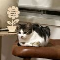 Photo of Poki
