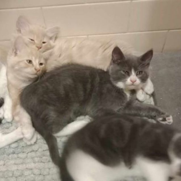 Photo of Fluffy Butt