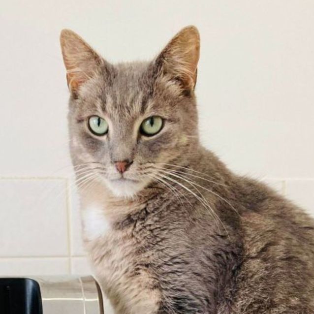 Photo of Dumpling   Located In Melbourne