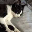 Photo of Roxy