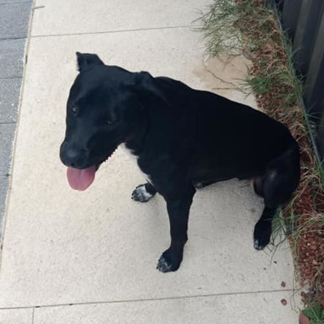 Photo of Karmen Dl2432