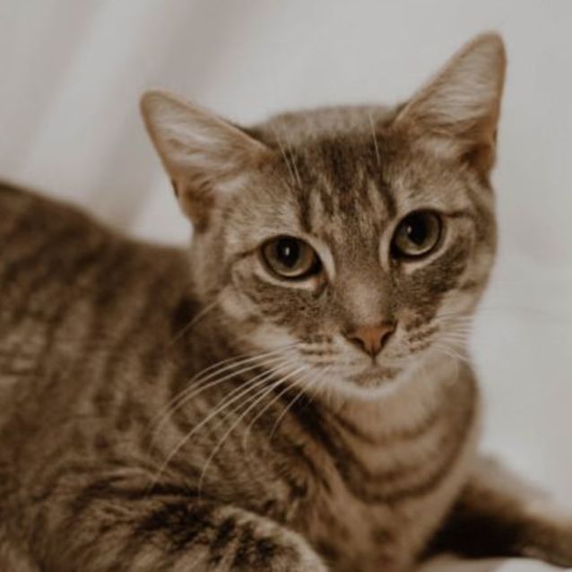 Photo of Diva