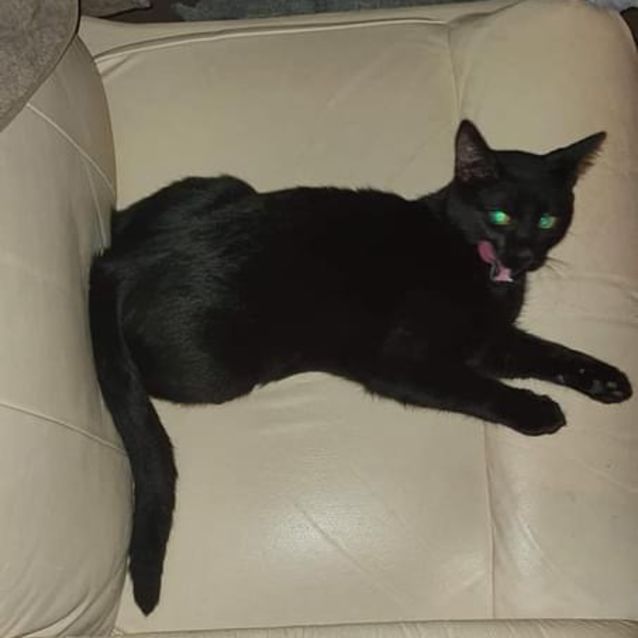 Photo of Jeremy