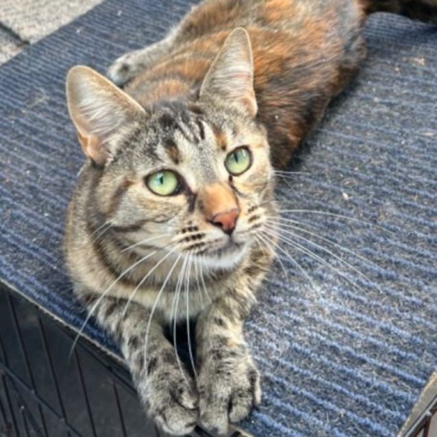 Photo of Samantha   Can Transport To You