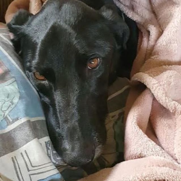 Photo of Zeus Dl2448