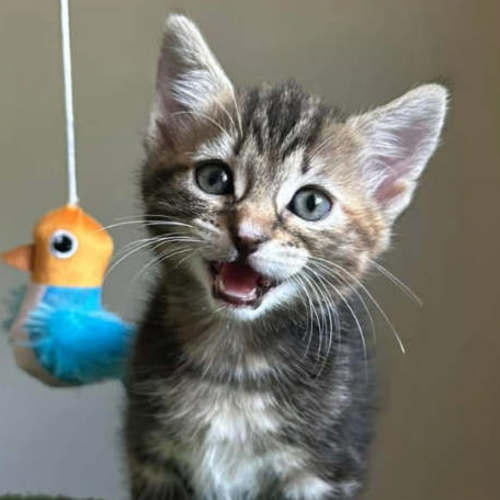 No photo for Little Miss Spink 🌺🌼🌹