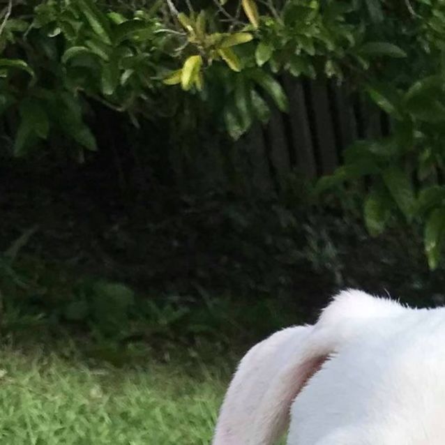 Photo of Ghost 