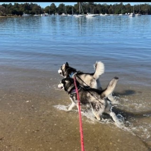 Photo of Hunter And Nala ❤️