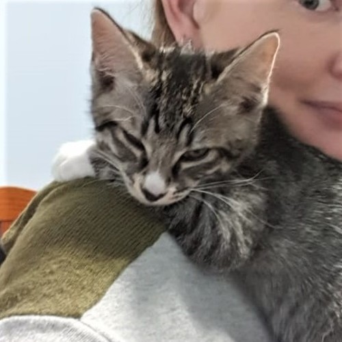 Jai ^Dandy Cat Rescue^