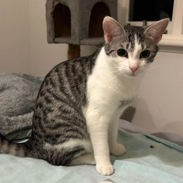 Photo of Minnie And Martie  