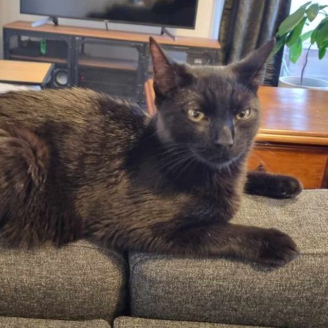 Photo of Arlo   Located In Preston