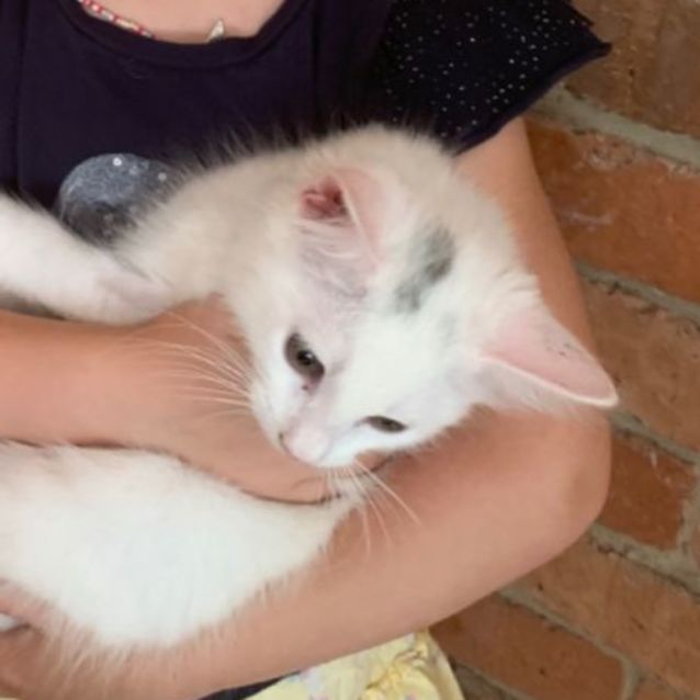 Photo of Charlie💙💙😻😻