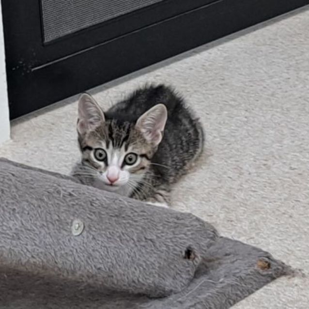 Photo of Natalie (0059)