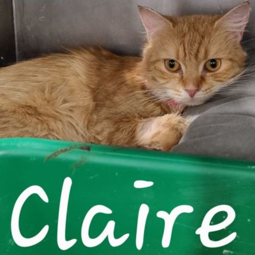 Claire