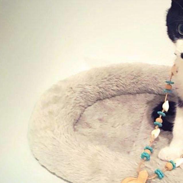 Photo of Lucky Leonardo