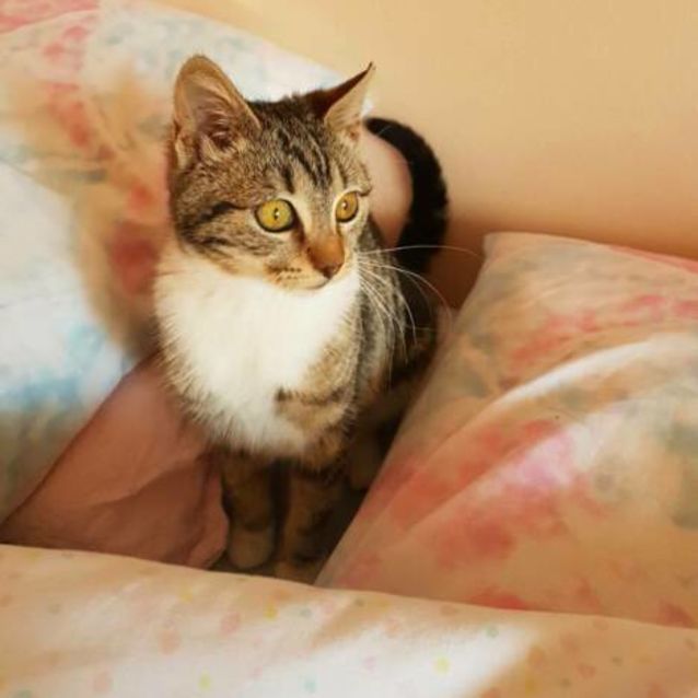 Photo of Coco