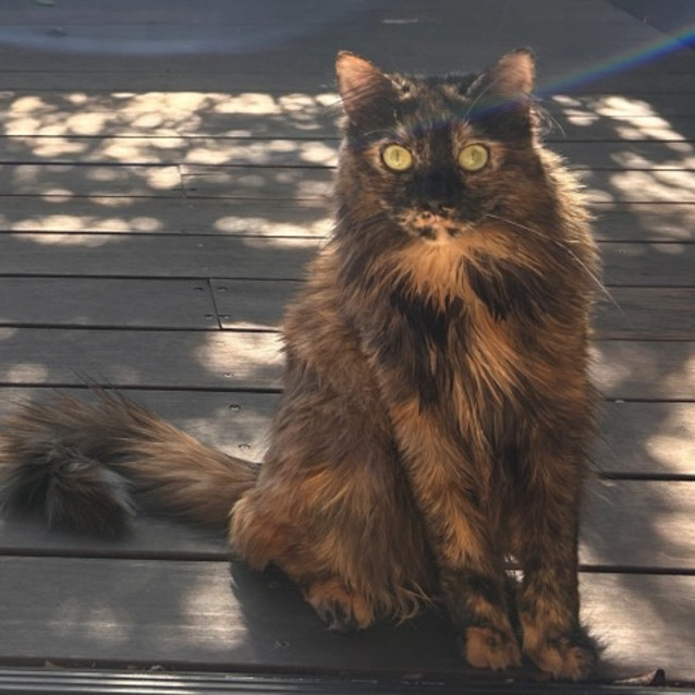 Photo of Savannah & Gretel🌷🌷