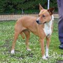 Photo of Marlee