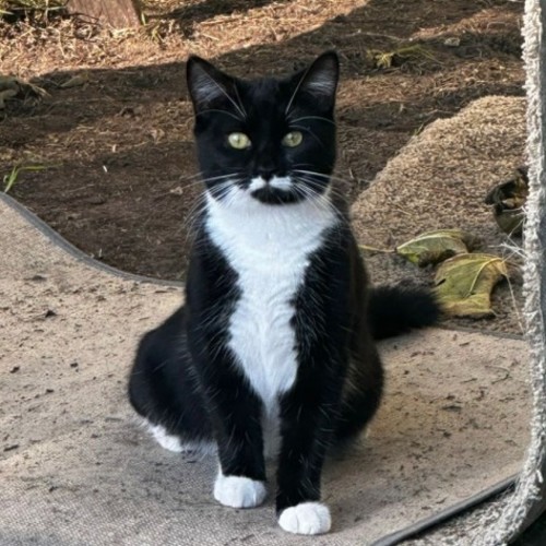 Tux
