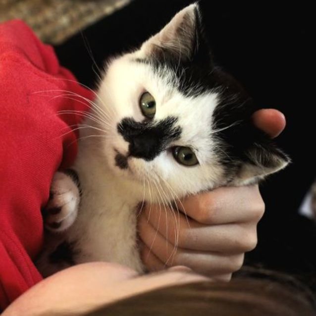 Photo of 🖤🤍 Quill 🤍🖤