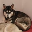 Photo of Chihiro