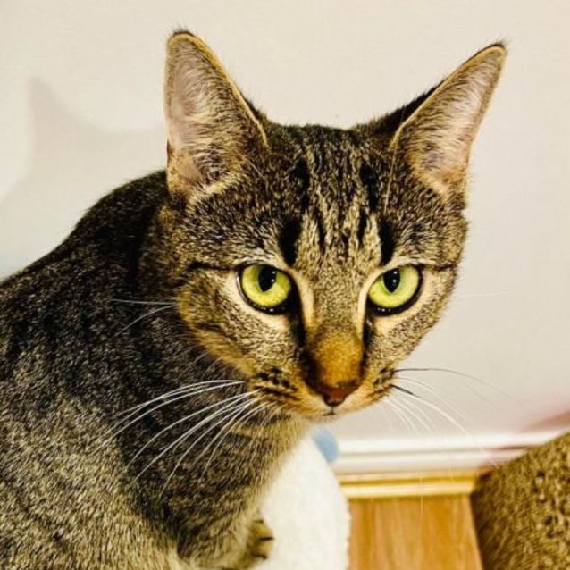 Photo of Emery   Located In Doreen