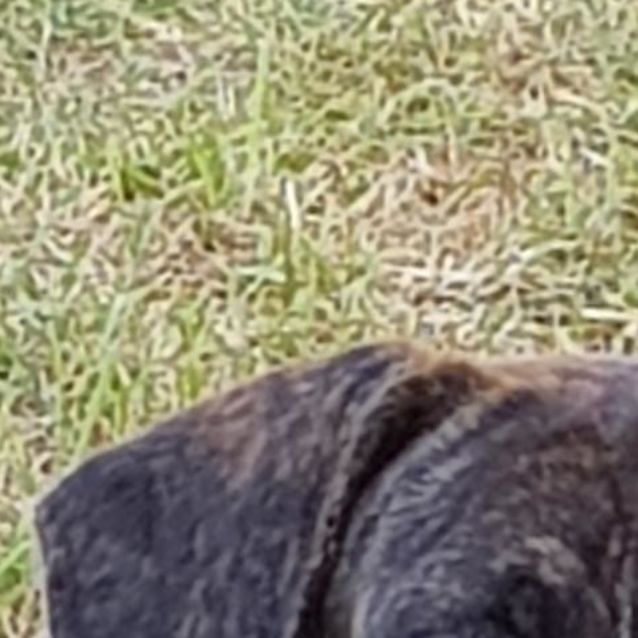 Photo of Guiness 