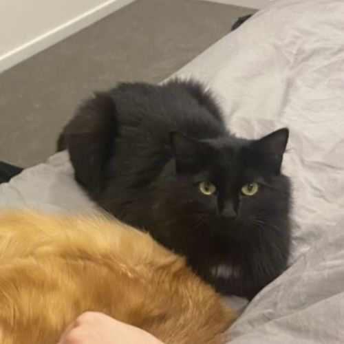 Matilda