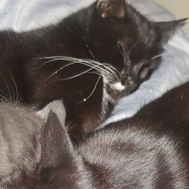 Photo of Ruth 🌷🌷