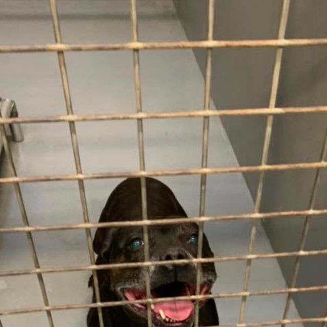 Photo of Roxy Dl2188