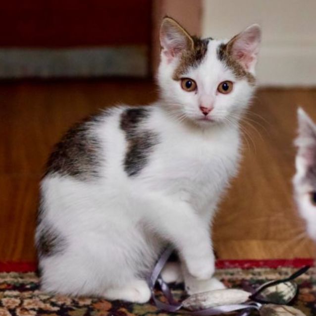 Photo of 💖 Eve 💖