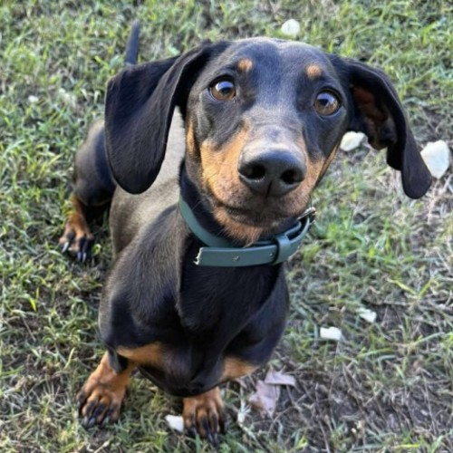 No photo for Wynston