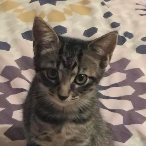 Minnie
