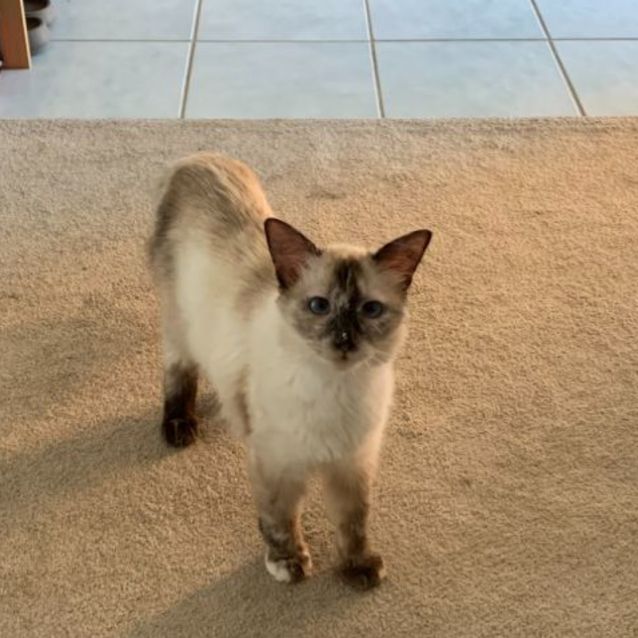 Photo of Penny 🌹🌹