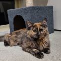 Photo of Sherry